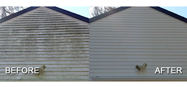 best siding cleaning service Abbotsford