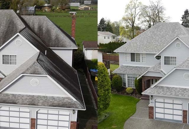 residential roof cleaning